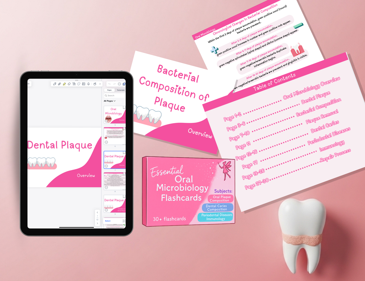 Dental Hygiene Flashcards (Digital PDF Bundle)