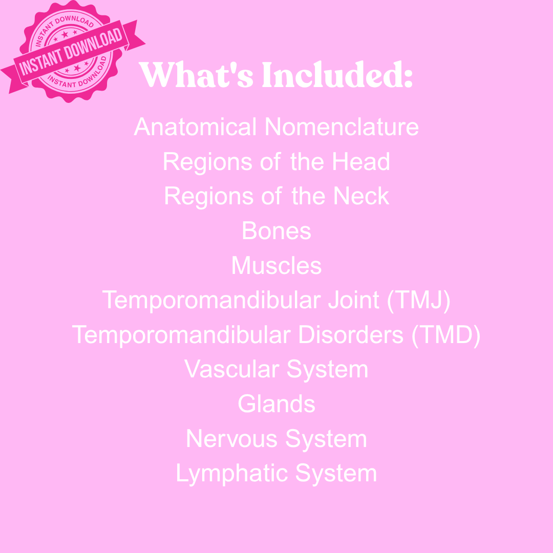 Head & Neck Anatomy Quick Review Cards | 212 High-Yield Study Cards | Dental Hygiene Student Digital Download