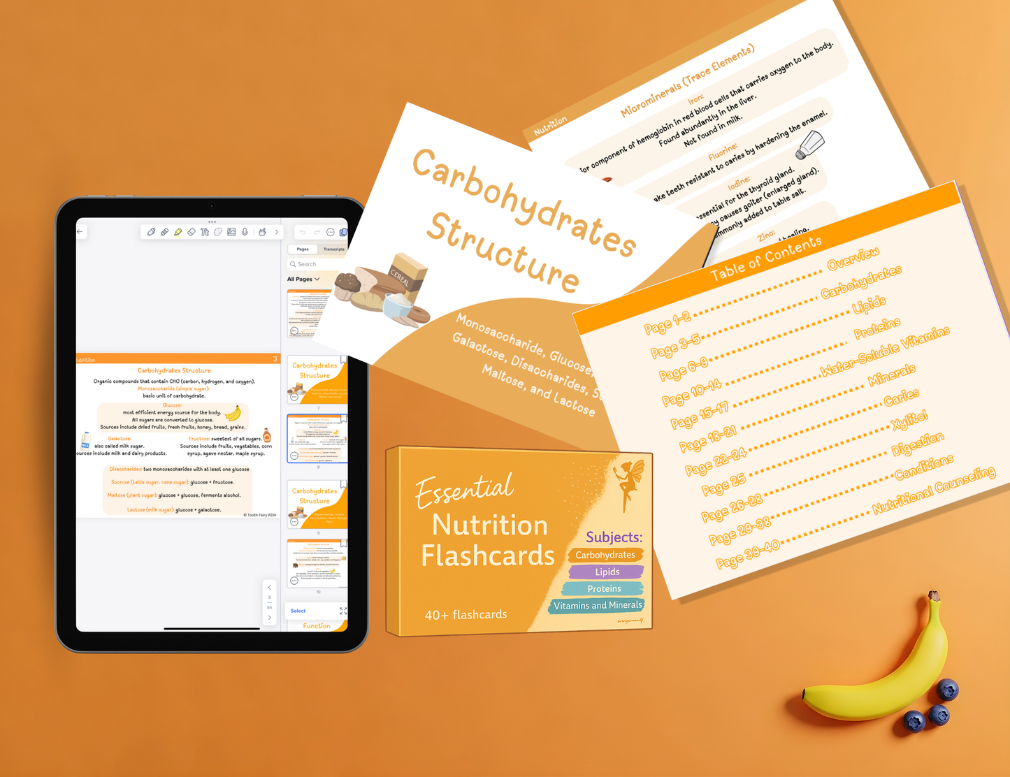 Dental Hygiene Flashcards (Digital PDF Bundle)