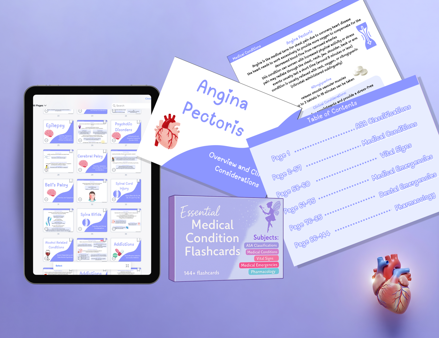Dental Hygiene Flashcards (Digital PDF Bundle)