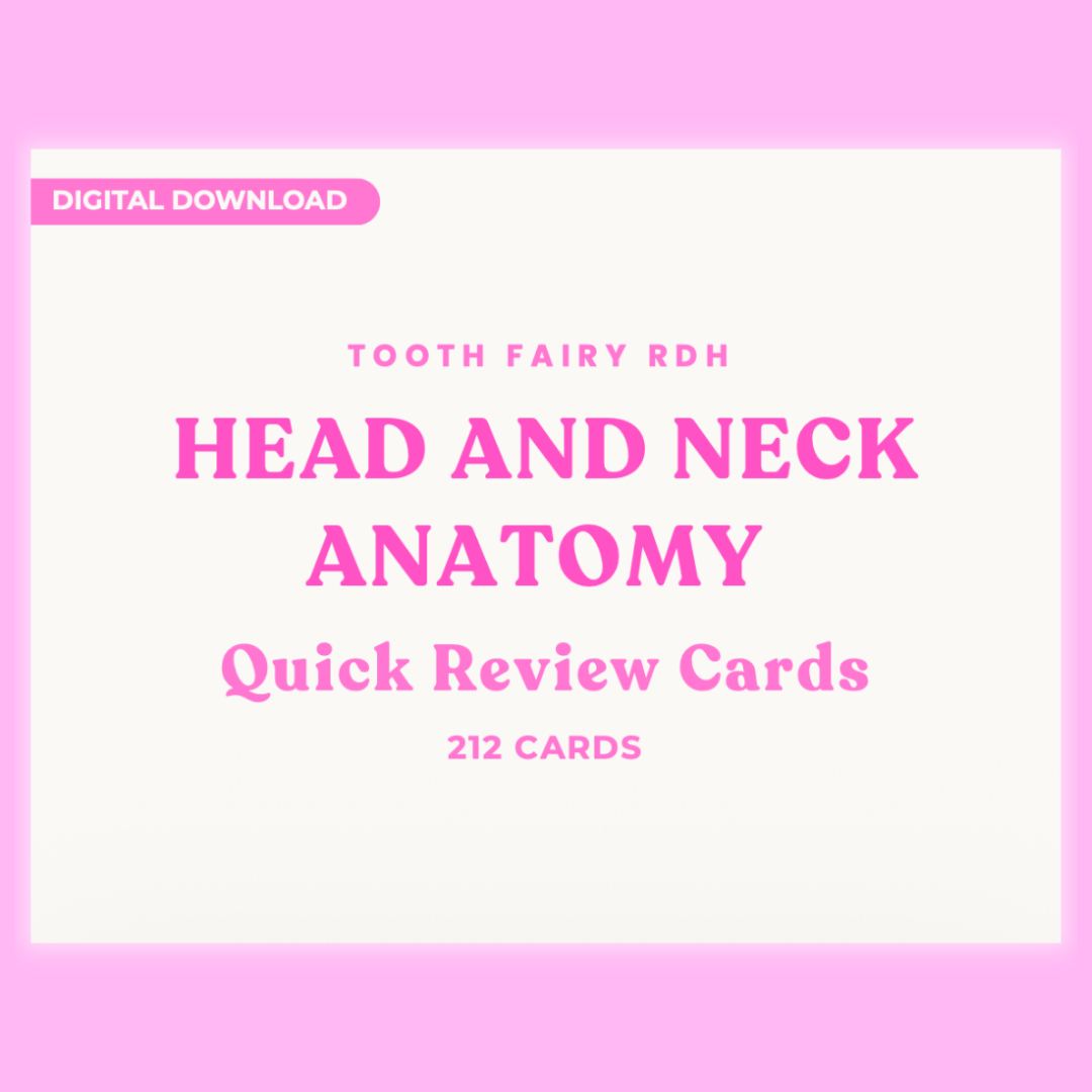 Head & Neck Anatomy Quick Review Cards | 212 High-Yield Study Cards | Dental Hygiene Student Digital Download