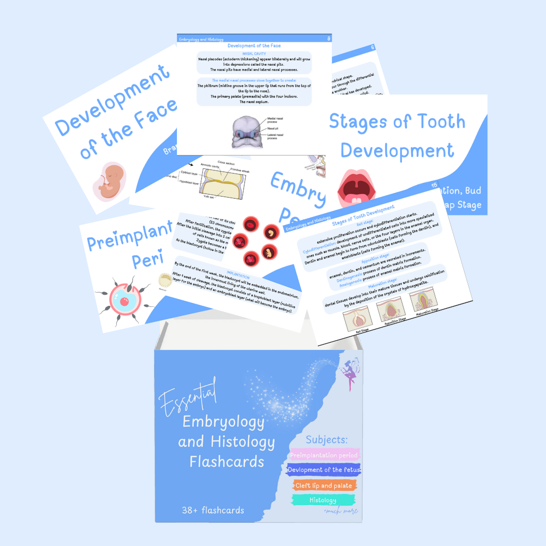 Dental Hygiene School Flashcard Bundle