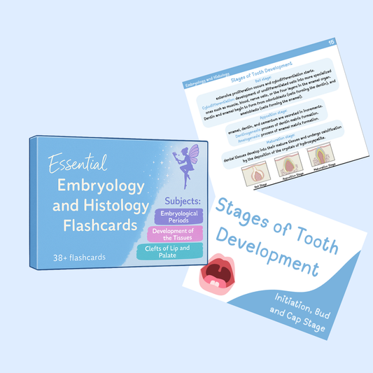 Embryology & Histology Flashcards